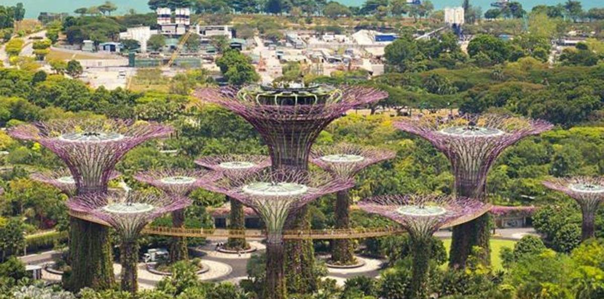 De Singapur a India: cómo se importa en los países más integrados