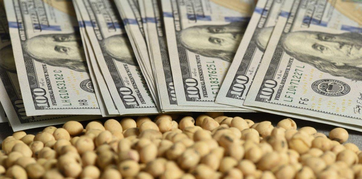La soja tocó máximos de dos meses y perforó los u$s400 tras presunto aumento de compras de China a EEUU
