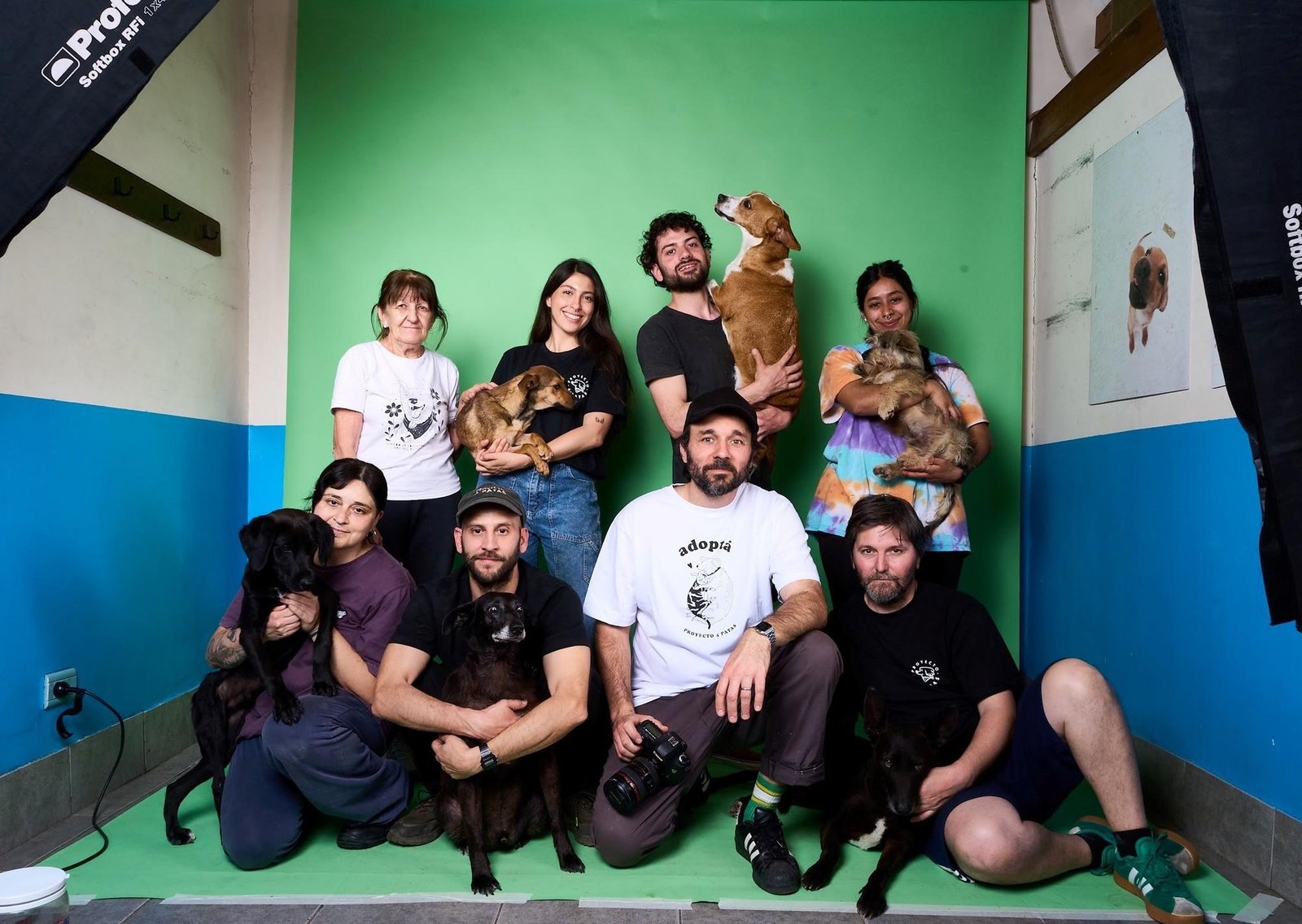 La ONG que hace calendarios con fotos de perros rescatados