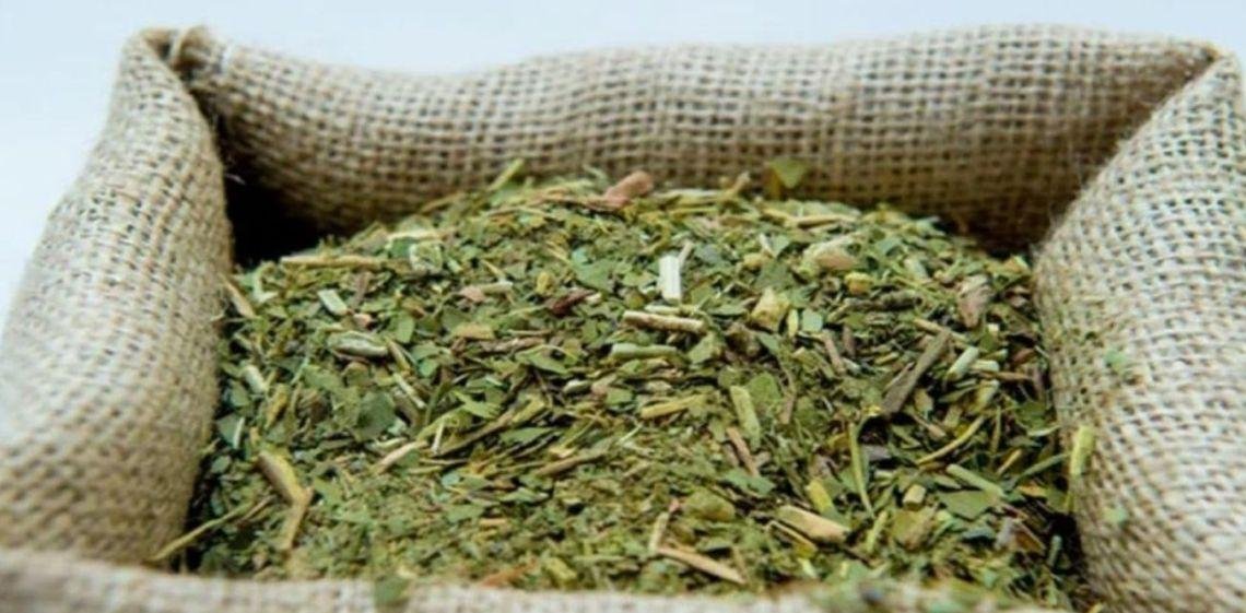 Productor sobre la crisis yerbatera: "Esto es un proyecto de muerte y lo encara el presidente de la república"