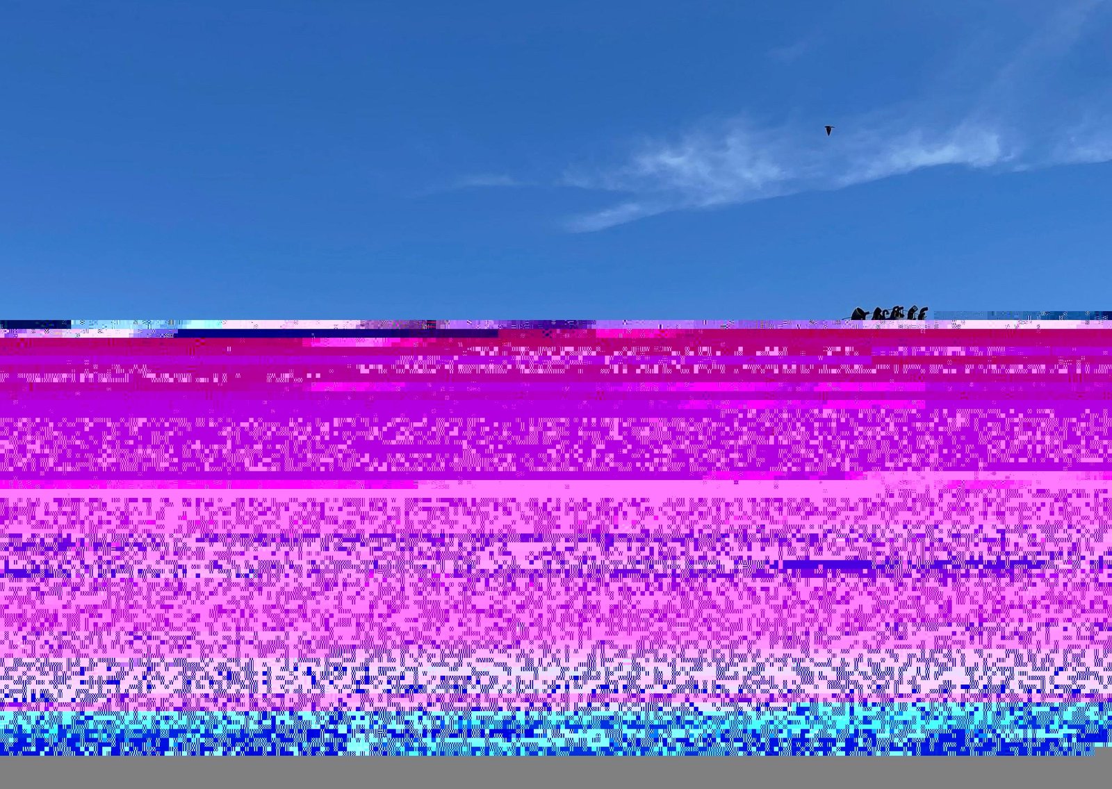 Peligran dos reformas de Milei por la guerra en Irán y un fallo judicial