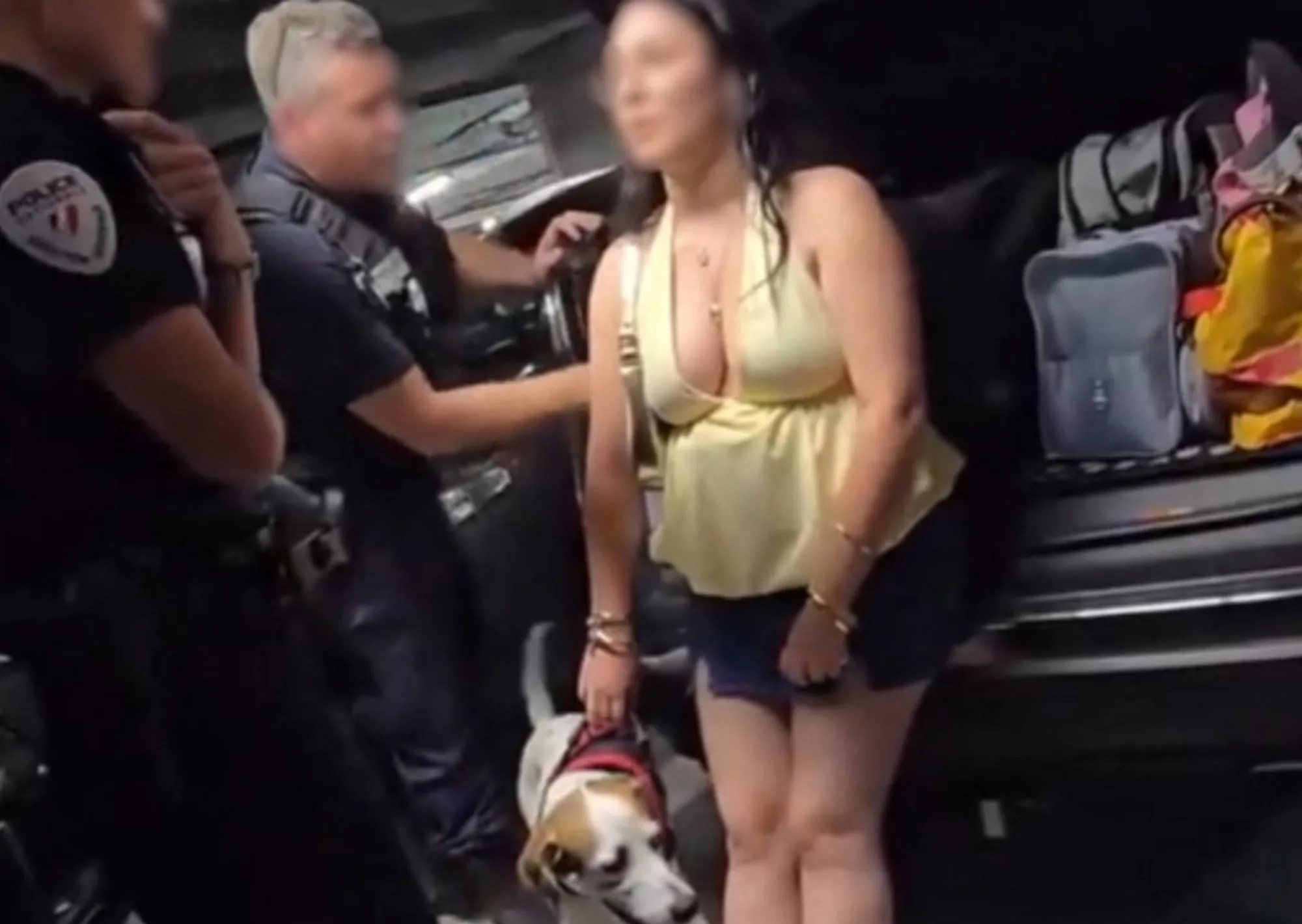 Dejó a su perro tres horas encerrado dentro de un bolso en el baúl del auto con 35 grados en plena ola de calor récord, el video desató un escándalo y ella se justificó: “Se nos pasó el tiempo”