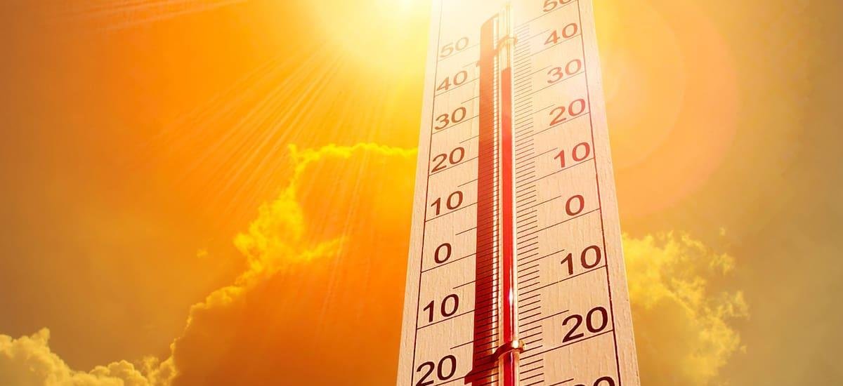 Alerta amarilla por ola de calor: para este día se esperan 37° de sensación térmica - El Cronista