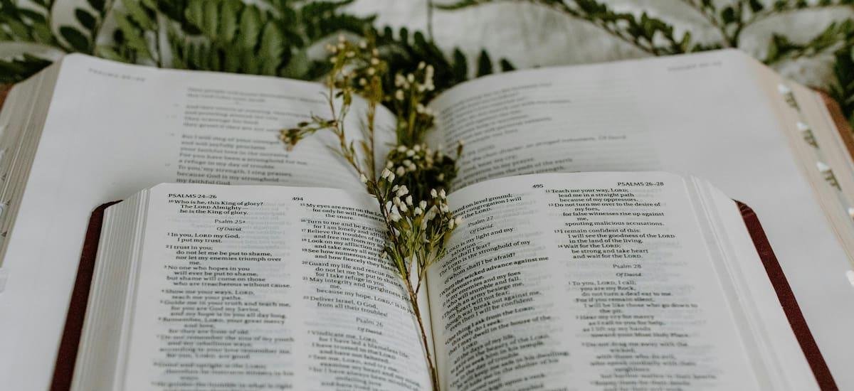 Día de San Casimiro: la oración para tener su guía y protección este miércoles