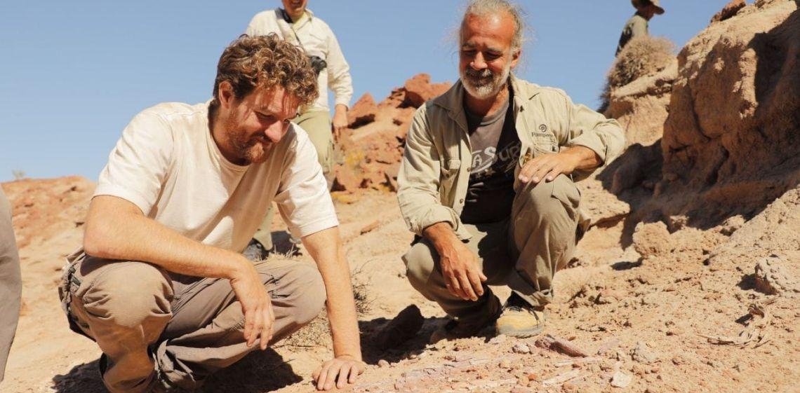 Paleontólogos encontraron en la estepa de Río Negro restos de un nuevo, y pequeño, dinosaurio argentino