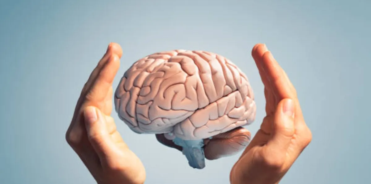 ¿Es posible fortalecer la memoria después de los 65 años? Descubra cómo la actitud positiva cambia el cuerpo y la mente