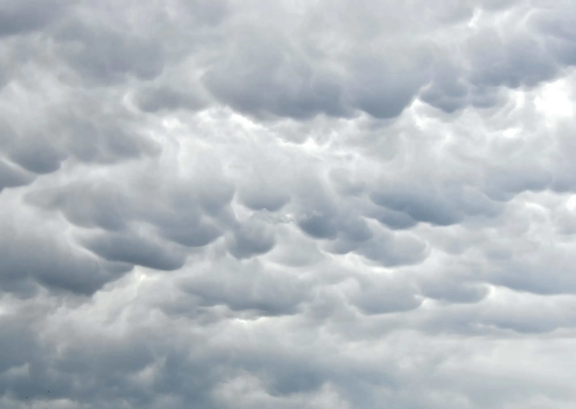 Clima hoy en Maracay, Venezuela: el pronóstico del tiempo para este martes 17 marzo de 2026