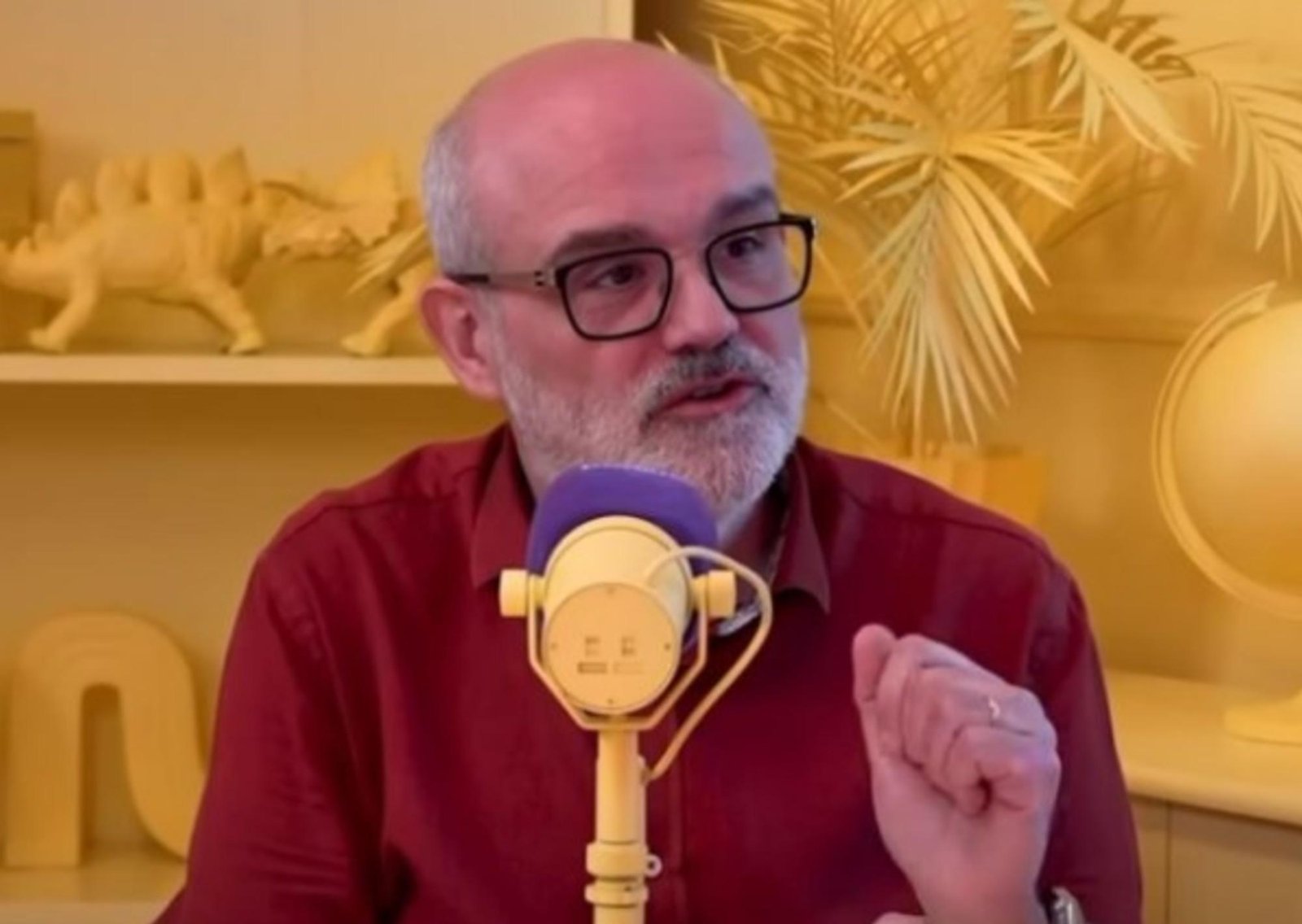 Jaume Fatjó, veterinario y etólogo: "Sacar a los gatos a pasear a la calle con correa puede ser un problema y hay casos en los que desarrollan actitudes agresivas"