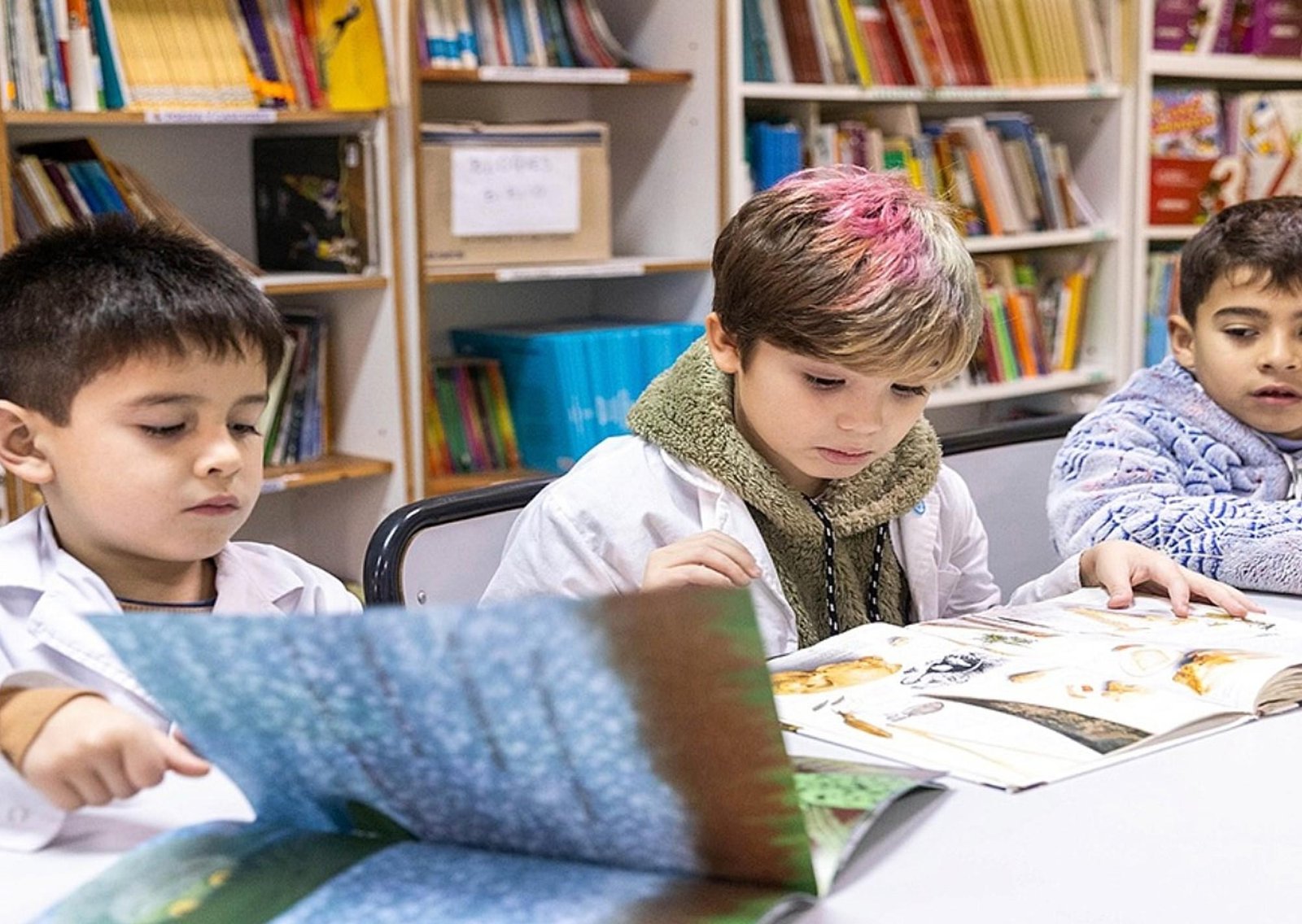 Ayuda Escolar marzo 2026: fechas de cobro y cuánto paga ANSES