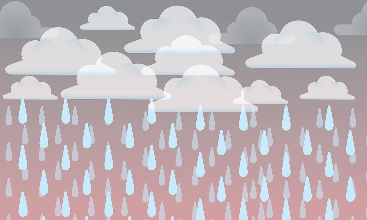Clima en Viedma hoy: cuál es el pronóstico del tiempo para el 4 de febrero de 2026